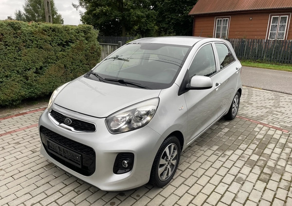 Kia Picanto cena 29300 przebieg: 49600, rok produkcji 2015 z Starachowice małe 29